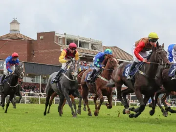 Horses racing along the track at Sedgefield, with the grandstand behind them
