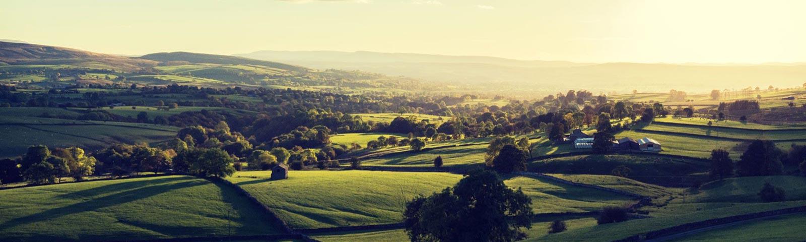 View of the Durham county surrounding the Sedgefield Racecourse.
