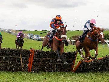 November Friday afternoon racing, jumps, horses jumping over hurdles