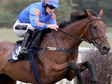 A horse jumping a fence at Sedgefield Racecourse.